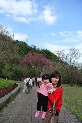 【桃園】石門水庫賞花 - 第40張圖 【桃園】石門水庫賞花