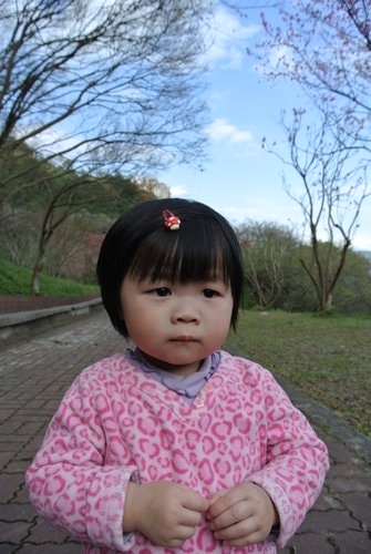 【桃園】石門水庫賞花 - 第43張圖 【桃園】石門水庫賞花