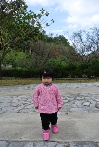 【桃園】石門水庫賞花 - 第50張圖 【桃園】石門水庫賞花