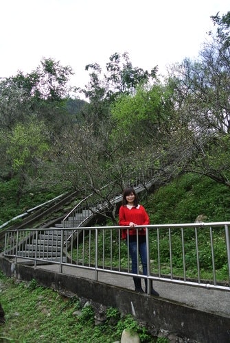 【桃園】石門水庫賞花 - 第61張圖 【桃園】石門水庫賞花