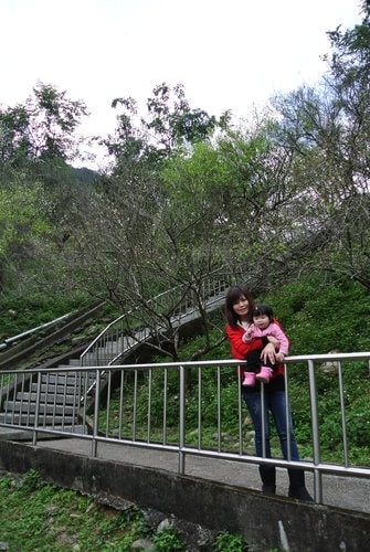 【桃園】石門水庫賞花 - 第63張圖 【桃園】石門水庫賞花