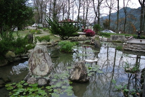 【桃園】石門水庫賞花 - 第64張圖 【桃園】石門水庫賞花