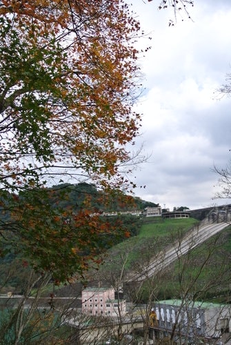 【桃園】石門水庫賞花 - 第71張圖 【桃園】石門水庫賞花