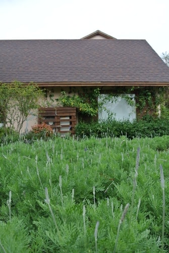 【台中】心之芳庭 - 第18張圖 【台中】心之芳庭