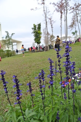 【台中】心之芳庭 - 第26張圖 【台中】心之芳庭