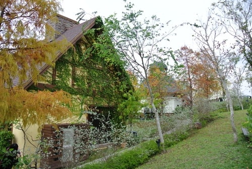 【台中】心之芳庭 - 第25張圖 【台中】心之芳庭