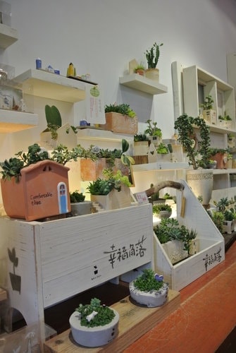 【台中】心之芳庭 - 第62張圖 【台中】心之芳庭