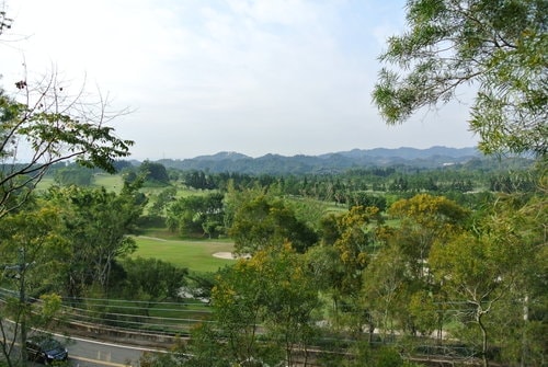 【台中】心之芳庭 - 第71張圖 【台中】心之芳庭