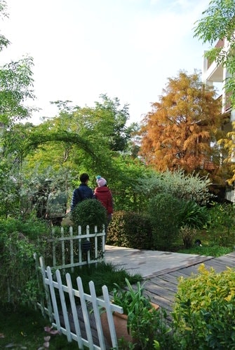 【台中】心之芳庭 - 第88張圖 【台中】心之芳庭