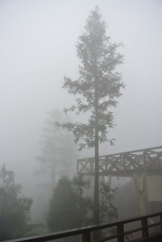 【南投】內湖國小 - 第8張圖 【南投】內湖國小