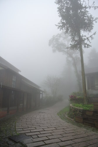 【南投】內湖國小 - 第16張圖 【南投】內湖國小