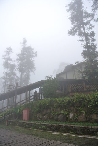 【南投】內湖國小 - 第19張圖 【南投】內湖國小