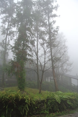 【南投】內湖國小 - 第20張圖 【南投】內湖國小