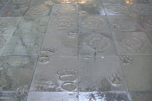 【南投】溪頭&妖怪村 - 第8張圖 【南投】溪頭&妖怪村