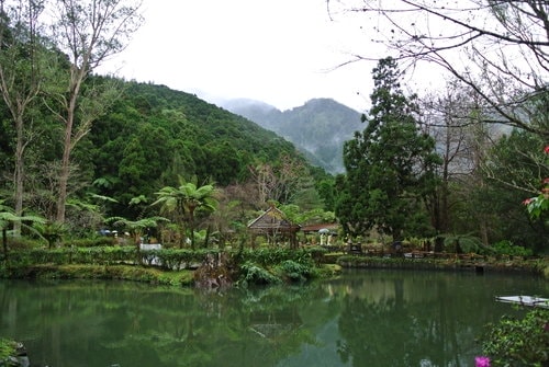 【南投】溪頭&妖怪村 - 第13張圖 【南投】溪頭&妖怪村