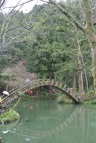【南投】溪頭&妖怪村 - 第16張圖 【南投】溪頭&妖怪村
