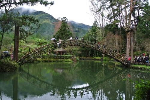 【南投】溪頭&妖怪村 - 第18張圖 【南投】溪頭&妖怪村