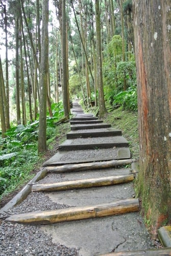 【南投】溪頭&妖怪村 - 第20張圖 【南投】溪頭&妖怪村