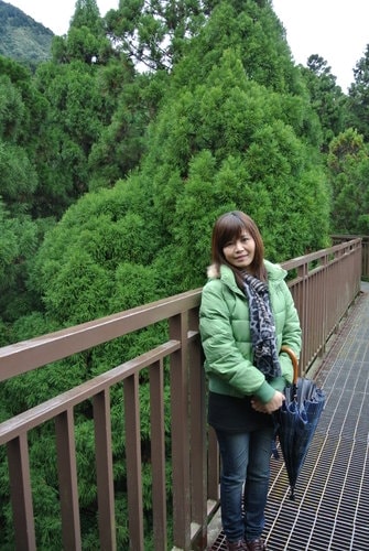 【南投】溪頭&妖怪村 - 第22張圖 【南投】溪頭&妖怪村