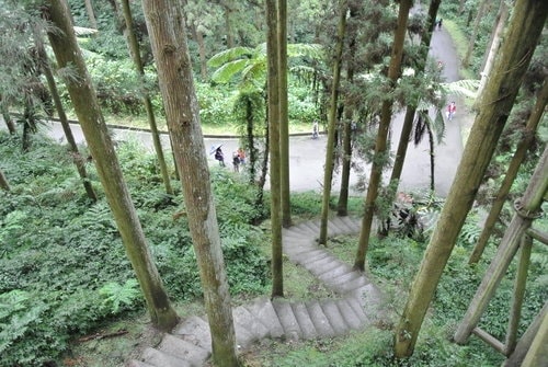 【南投】溪頭&妖怪村 - 第25張圖 【南投】溪頭&妖怪村