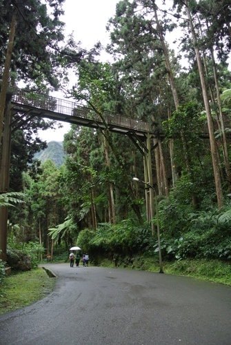 【南投】溪頭&妖怪村 - 第27張圖 【南投】溪頭&妖怪村