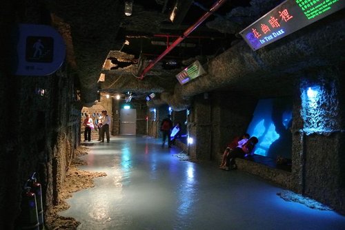 【屏東】國立海洋生物博物館 - 第10張圖 【屏東】國立海洋生物博物館
