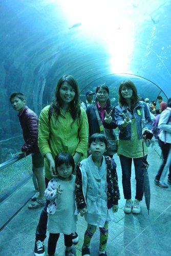 【屏東】國立海洋生物博物館 - 第16張圖 【屏東】國立海洋生物博物館