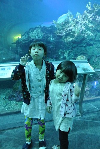 【屏東】國立海洋生物博物館 - 第17張圖 【屏東】國立海洋生物博物館