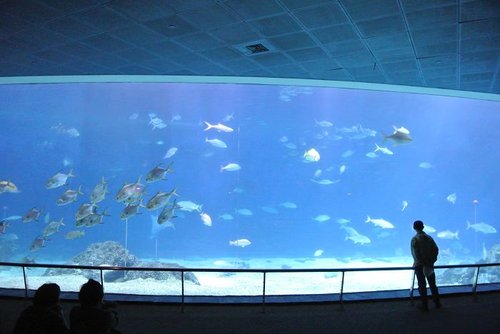 【屏東】國立海洋生物博物館 - 第23張圖 【屏東】國立海洋生物博物館
