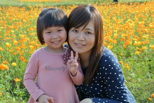 【平鎮龍潭】波斯菊&向日葵花海 - 第10張圖 【平鎮龍潭】波斯菊&向日葵花海