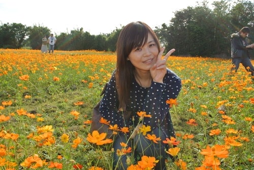 【平鎮龍潭】波斯菊&向日葵花海 - 第12張圖 【平鎮龍潭】波斯菊&向日葵花海