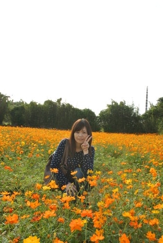 【平鎮龍潭】波斯菊&向日葵花海 - 第11張圖 【平鎮龍潭】波斯菊&向日葵花海