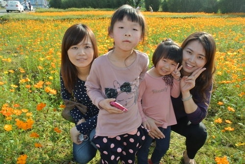 【平鎮龍潭】波斯菊&向日葵花海 - 第14張圖 【平鎮龍潭】波斯菊&向日葵花海