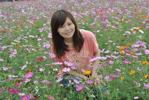 【平鎮龍潭】波斯菊&向日葵花海 - 第23張圖 【平鎮龍潭】波斯菊&向日葵花海