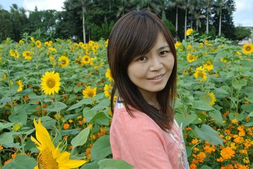 【平鎮龍潭】波斯菊&向日葵花海 - 第44張圖 【平鎮龍潭】波斯菊&向日葵花海