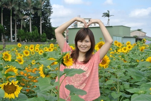 【平鎮龍潭】波斯菊&向日葵花海 - 第46張圖 【平鎮龍潭】波斯菊&向日葵花海