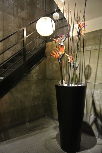 【中壢】聚北海道昆布鍋 - 第2張圖 【中壢】聚北海道昆布鍋