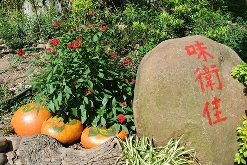 【新埔】味衛佳柿餅 - 第2張圖 【新埔】味衛佳柿餅