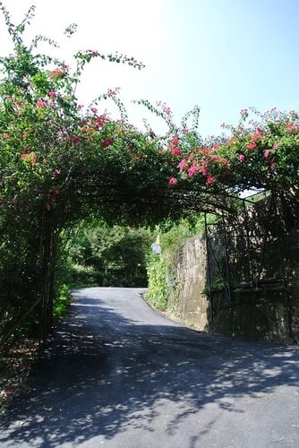 【新埔】味衛佳柿餅 - 第4張圖 【新埔】味衛佳柿餅