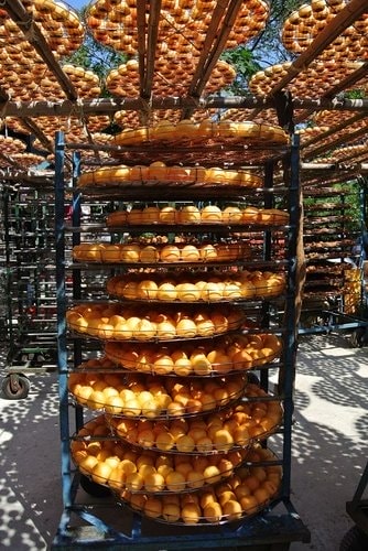 【新埔】味衛佳柿餅 - 第9張圖 【新埔】味衛佳柿餅