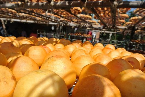 【新埔】味衛佳柿餅 - 第15張圖 【新埔】味衛佳柿餅