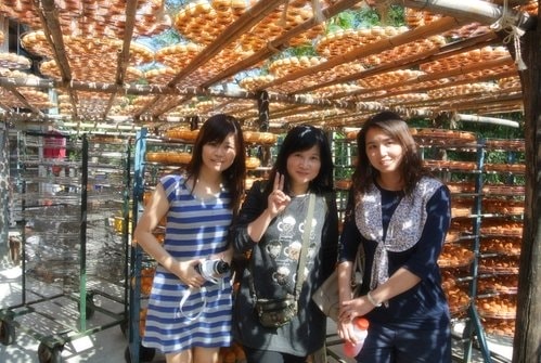 【新埔】味衛佳柿餅 - 第17張圖 【新埔】味衛佳柿餅