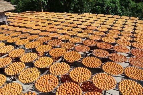 【新埔】味衛佳柿餅 - 第29張圖 【新埔】味衛佳柿餅