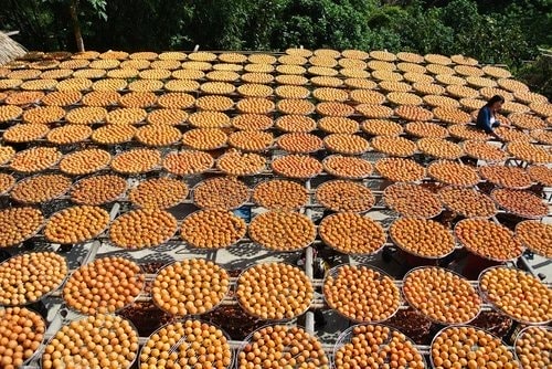 【新埔】味衛佳柿餅 - 第30張圖 【新埔】味衛佳柿餅