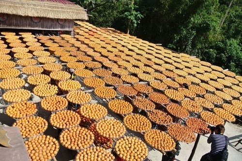 【新埔】味衛佳柿餅 - 第32張圖 【新埔】味衛佳柿餅