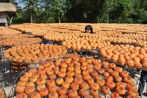 【新埔】味衛佳柿餅 - 第37張圖 【新埔】味衛佳柿餅