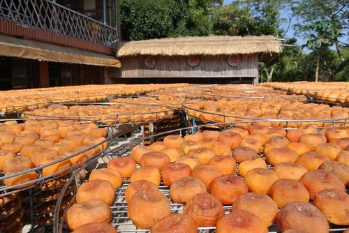 【新埔】味衛佳柿餅 - 第39張圖 【新埔】味衛佳柿餅