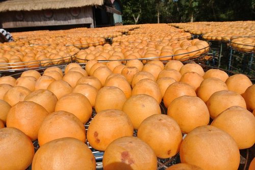 【新埔】味衛佳柿餅 - 第42張圖 【新埔】味衛佳柿餅
