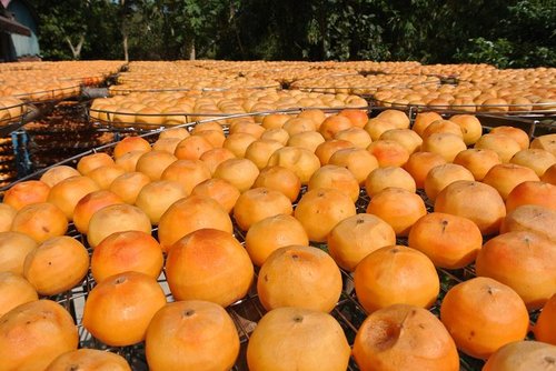 【新埔】味衛佳柿餅 - 第43張圖 【新埔】味衛佳柿餅