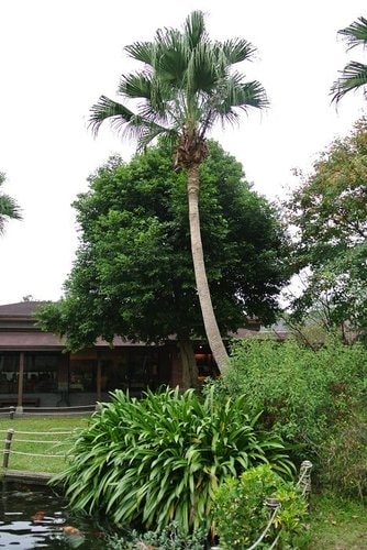 【龍潭】壹等賞景觀餐廳 - 第37張圖 【龍潭】壹等賞景觀餐廳